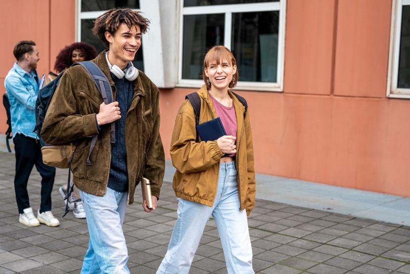 What is Platonic Love?