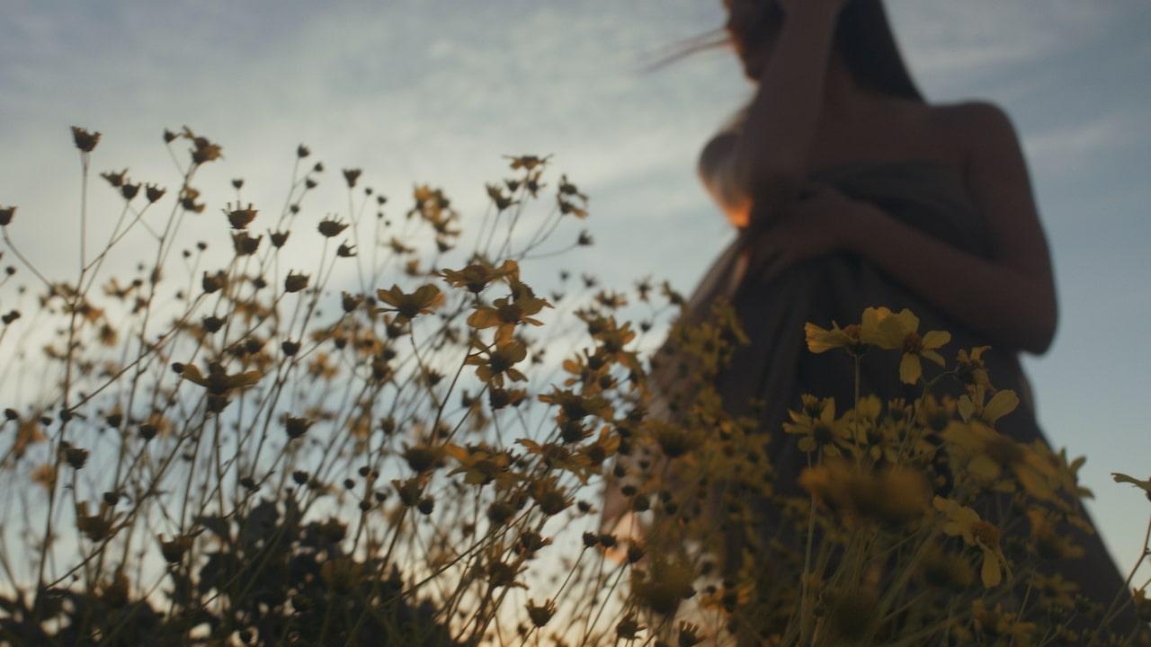 Flower-picking Date Day Ideas Flower-picking Date Day Ideas