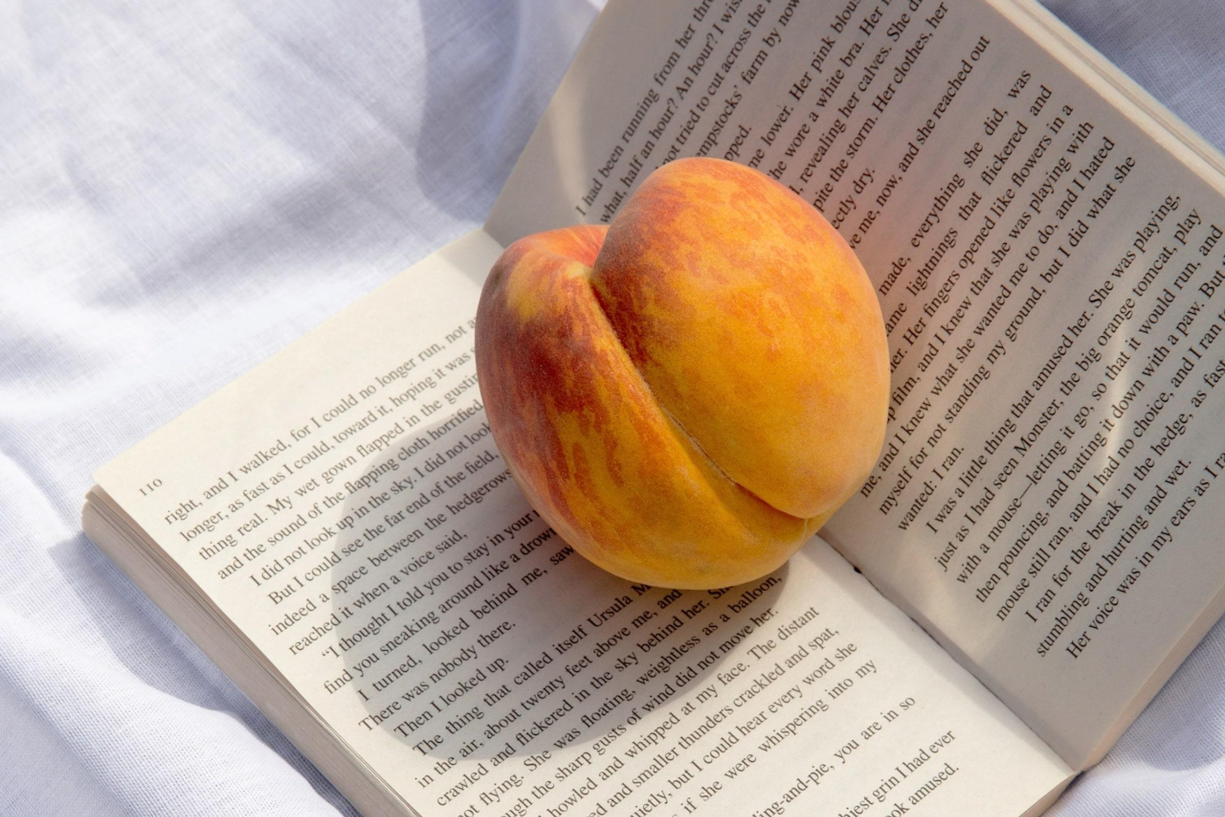 Embrace Cozy Season with Fall Picnic Date Ideas Embrace Cozy Season with Fall Picnic Date Ideas