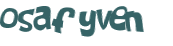 Captcha 챌린지