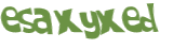 Sfida captcha