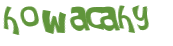 Desafio captcha