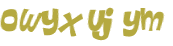 Wyzwanie captcha
