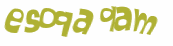 Captcha-Test