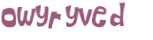CAPTCHA 挑戰