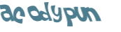 CAPTCHA 挑戰