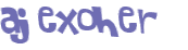 Desafio Captcha