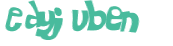 Captcha-test
