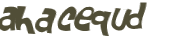 Desafio captcha