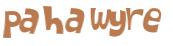 CAPTCHA 挑戰