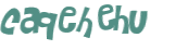 Captcha 챌린지
