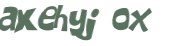 CAPTCHA 挑戰