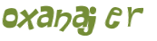 Captcha挑战
