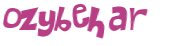 CAPTCHA-haaste