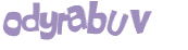 CAPTCHA 挑戰