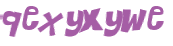 CAPTCHA 挑戰