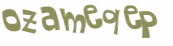 CAPTCHA 挑戰