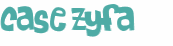 Wyzwanie captcha