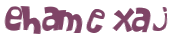 CAPTCHA 挑戰