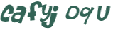 CAPTCHA 挑戰