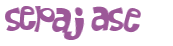 Sfida captcha