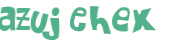 CAPTCHA 挑戰
