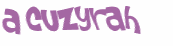 CAPTCHA 挑戰
