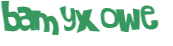 Captcha 챌린지