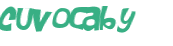 CAPTCHA 挑戰