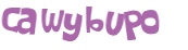 Captcha challenge