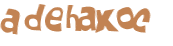 CAPTCHA 挑戰