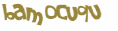 Captcha 챌린지