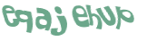 Desafio Captcha
