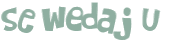 Wyzwanie captcha