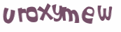 キャプチャ認証