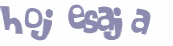 CAPTCHA 挑戰
