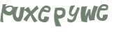 Wyzwanie captcha