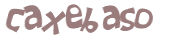 Captcha 챌린지