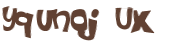 Desafio Captcha