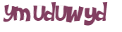 CAPTCHA 挑戰