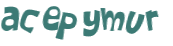 CAPTCHA 挑戰
