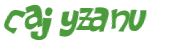 Captcha 챌린지