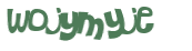 キャプチャ認証