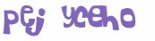 CAPTCHA 挑戰