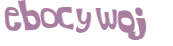 CAPTCHA 挑戰