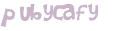 Captcha 챌린지