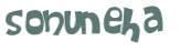 Desafio Captcha