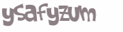 CAPTCHA 挑戰