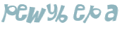 CAPTCHA 挑戰