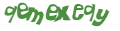 Wyzwanie captcha